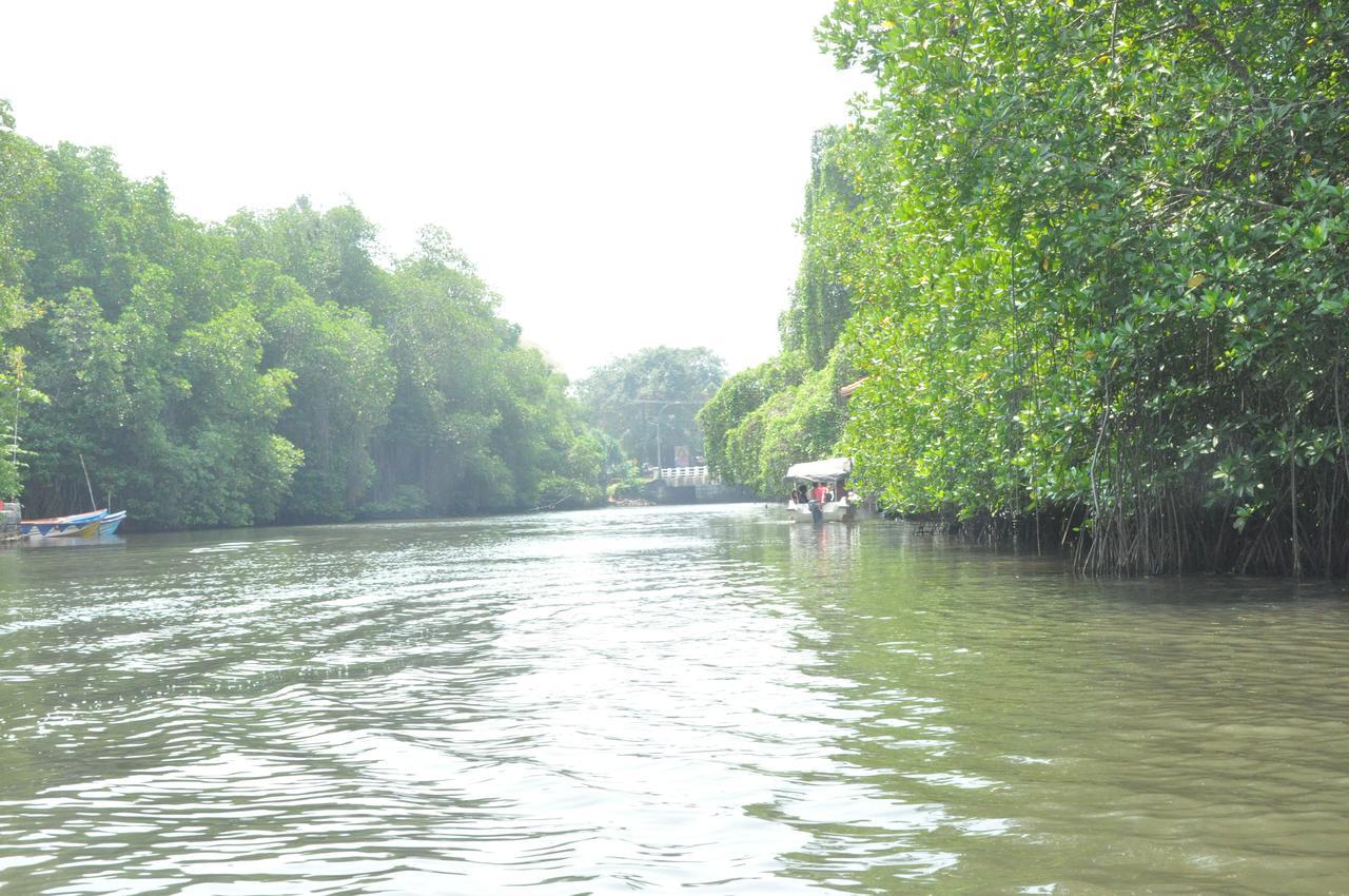 Muthumuni Ayurveda River Resort Aluthgama Buitenkant foto